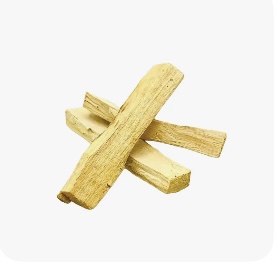 Lumiere Metaphysical Center Palo Santo.